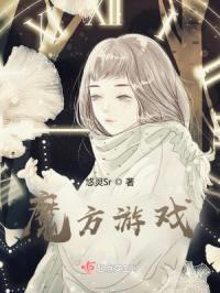 魔方游戏封面