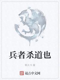 兵者杀道也封面