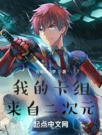 我的卡组来自二次元封面