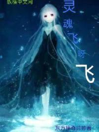 灵魂飞呀飞封面