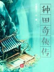 种田奇侠传封面