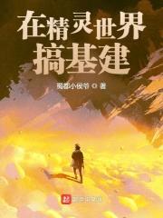 在精灵世界搞基建封面