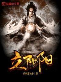 立阴阳封面