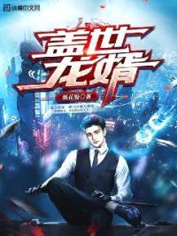 盖世龙婿封面