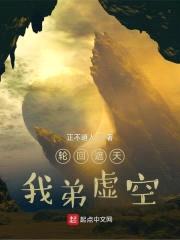 轮回遮天，我弟虚空封面