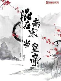 混在南宋当皇帝封面