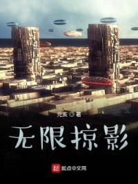 无限掠影封面