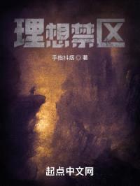 理想禁区封面