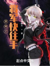 原神之将军快住手！封面