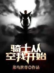 骑士从空我开始封面