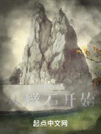 从燧石开始封面