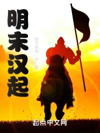 明末汉起封面