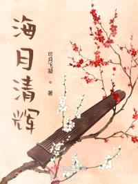 海月清辉封面