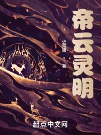帝云灵明封面