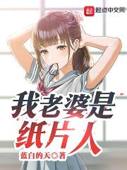 我老婆是纸片人封面