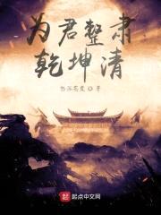 为君整肃乾坤清封面