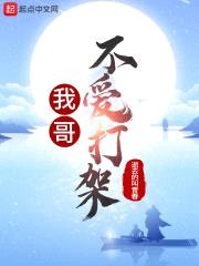 我哥不爱打架封面