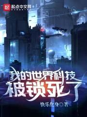 我的世界科技被锁死了封面