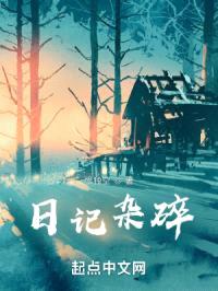日记杂碎封面