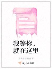 我等你，就在这里封面