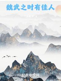 魏武之时有佳人封面