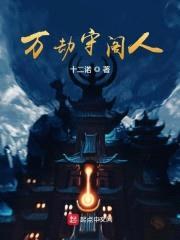 万劫守阁人封面