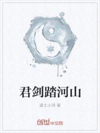 君剑踏河山封面