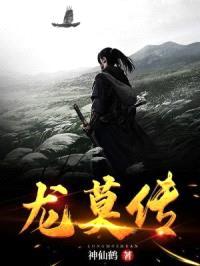 龙莫传封面