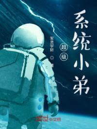超级系统小弟封面