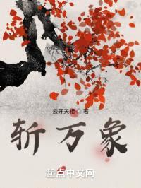斩万象封面