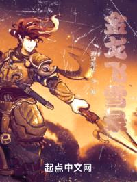 金戈飞雪录封面