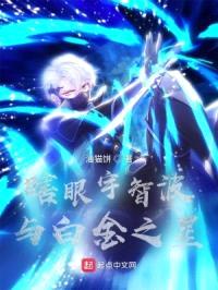 瞎眼宇智波与白金之星封面