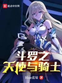 斗罗之天使与骑士封面