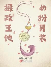 摄政王君亦有情封面