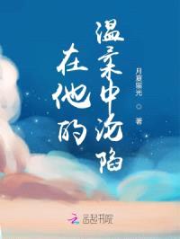 在他的温柔中沦陷封面