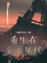 重生在80年代封面