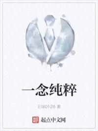 一念纯粹封面