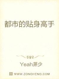 都市的贴身高手封面