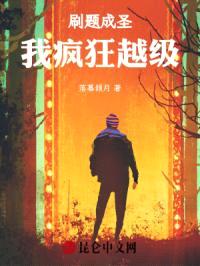 刷题成圣，我疯狂越级封面