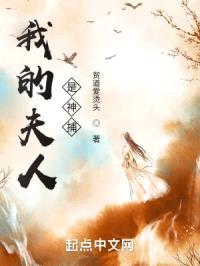 我的夫人是神捕封面