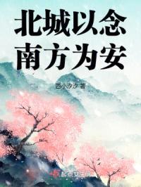 北城以念，南方为安封面