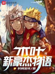 木叶新豪杰物语封面