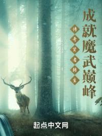 传奇贤者转生成就魔武巅峰封面