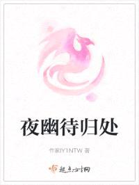 夜幽待归处封面