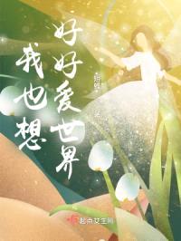 我也想好好爱世界封面