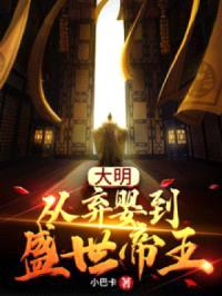 大明：从弃婴到盛世帝王封面