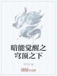 暗能觉醒之穹顶之下封面