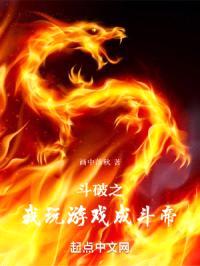 斗破之风之永恒封面