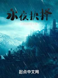 永夜抉择封面