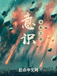意识消失之后封面